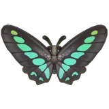 Petit Planet Bluebottle icon