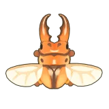 Petit Planet Common Red Stag Beetle icon