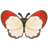 Petit Planet Crimson Tip Butterfly icon