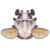 Petit Planet Goliath Beetle icon