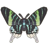 Petit Planet Green-Banded Urania Moth icon