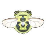 Petit Planet Green Tortoise Beetle icon