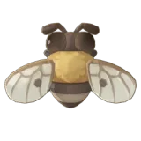 Petit Planet Honey Bee icon