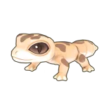 Petit Planet Leopard Gecko icon