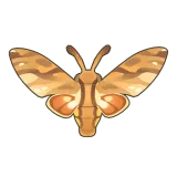 Petit Planet Morgan's Sphinx Moth icon