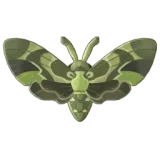 Petit Planet Oleander Hawk Moth icon