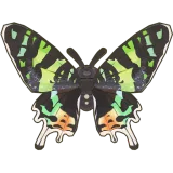 Petit Planet Sunset Moth icon