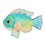 Petit Planet Blackspot Tuskfish icon