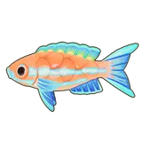 Petit Planet Blue Neon Cichlid icon
