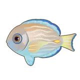 Petit Planet Blue Tang icon
