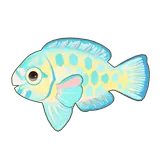 Petit Planet Blue Trim Parrotfish icon