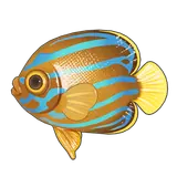 Petit Planet Bluelined Angelfish icon