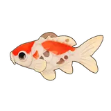 Petit Planet Calico Koi icon