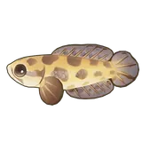 Petit Planet Dark Snakehead icon