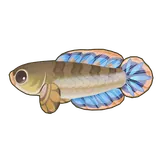 Petit Planet Dwarf Snakehead icon