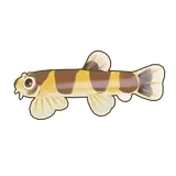 Petit Planet Eel Loach icon
