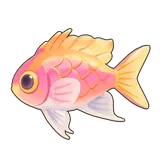 Petit Planet Fairy Basslet icon
