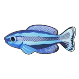 Petit Planet Four-Line Wrasse icon