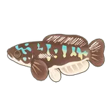 Petit Planet Giant Snakehead icon