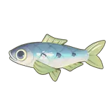 Petit Planet Green Pilchard icon