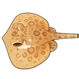 Petit Planet Honeycomb Stingray icon