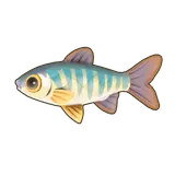 Petit Planet Hooksnout Carp icon