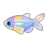 Petit Planet Hummingbird Tetra icon