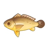 Petit Planet Large Yellow Croaker icon