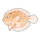 Petit Planet Largetooth Flounder icon