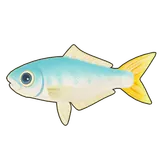 Petit Planet Leatherjacket Fish icon