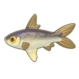 Petit Planet Milkfish icon