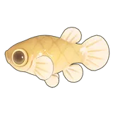 Petit Planet Mosquitofish icon