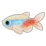 Petit Planet Neon Tetra icon
