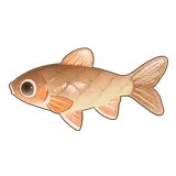Petit Planet Phoenix Barb icon