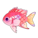Petit Planet Pink Square Anthias icon
