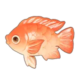 Petit Planet Rainbow Porgy icon