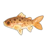 Petit Planet Rainbow Trout icon