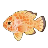 Petit Planet Red Hind icon