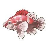 Petit Planet Red-Striped Perch icon