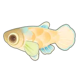 Petit Planet Rice Fish icon