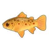 Petit Planet River Trout icon