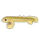 Petit Planet Ropefish icon