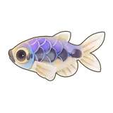 Petit Planet Royal Tetra icon