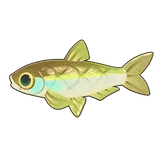 Petit Planet Sharpbelly icon