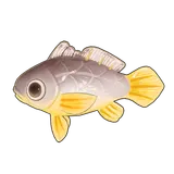Petit Planet Small Yellow Croaker icon