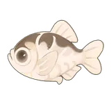 Petit Planet Spiny Hatchetfish icon