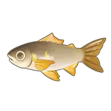 Petit Planet Sweetfish icon