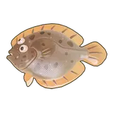 Petit Planet Turbot icon