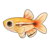 Petit Planet White Cloud Minnow icon