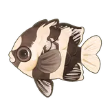 Petit Planet Whitetail Dascyllus icon
